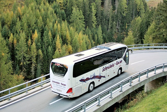 intransgroup_wynajem autobusów dąbrowa górnicza (4).jpg